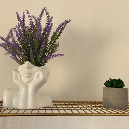 Casa Luana - 게스트하우스 *